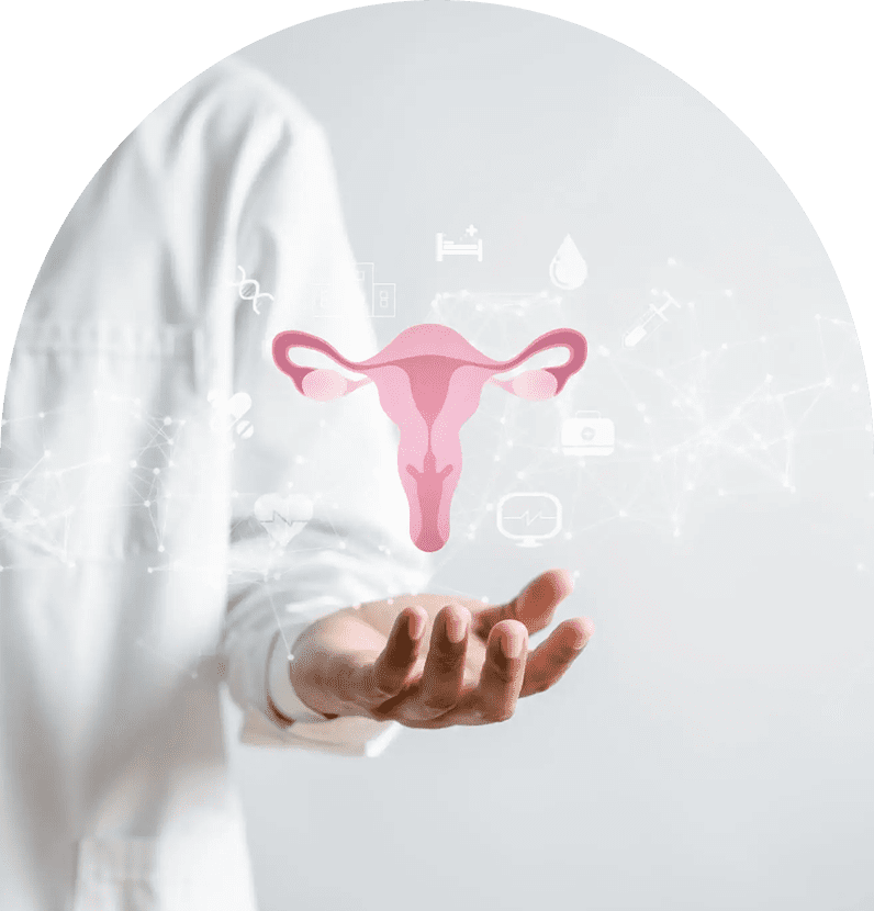 Doctor presenting digital uterus illustration